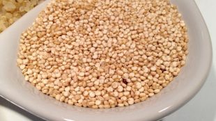 semi di quinoa